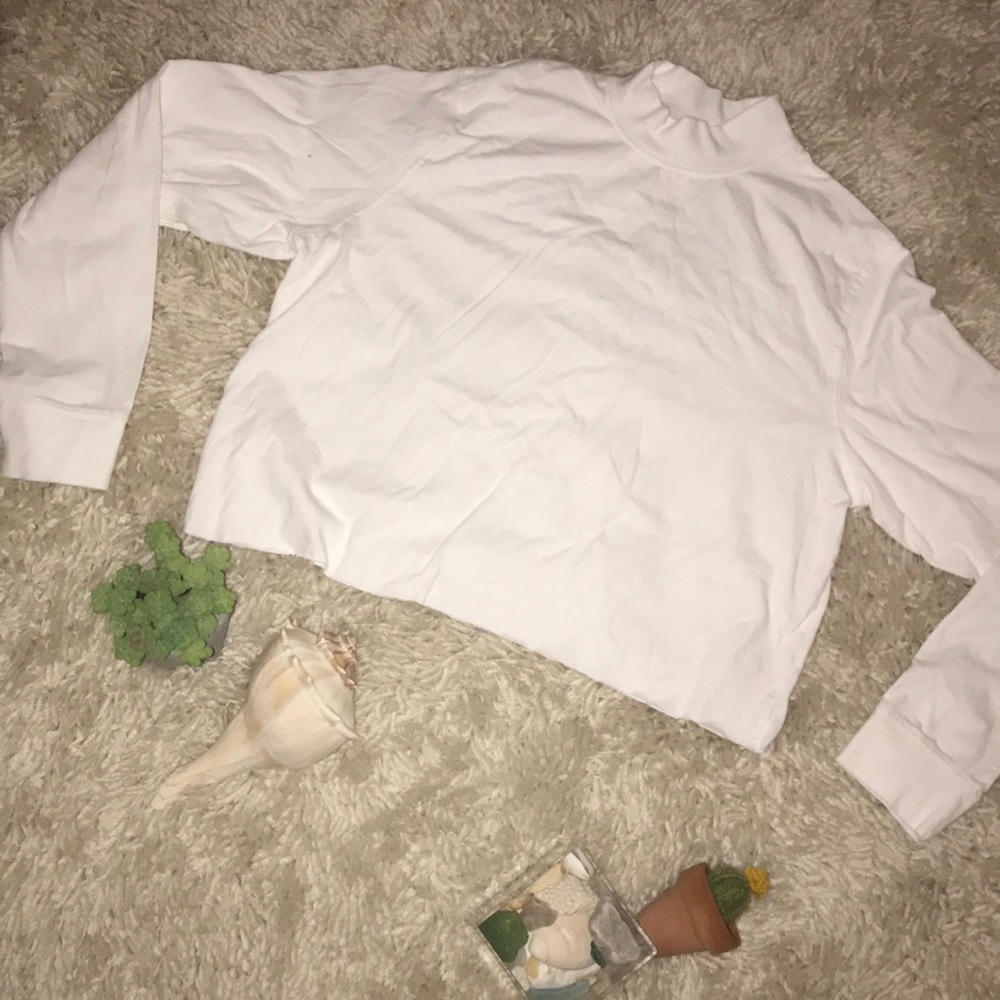 white cropped long sleeved with turtleneck